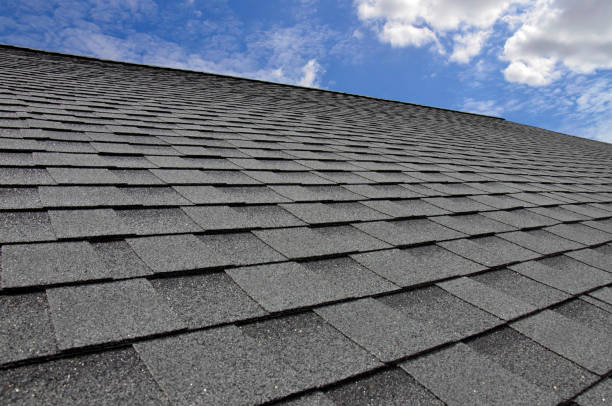 Best Roof Moss and Algae Removal  in Prices Fork, VA